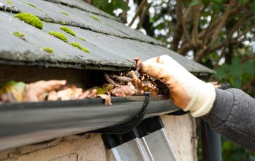 gutter cleaning Newham