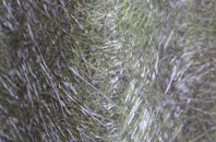 Newham fibreglass roof work